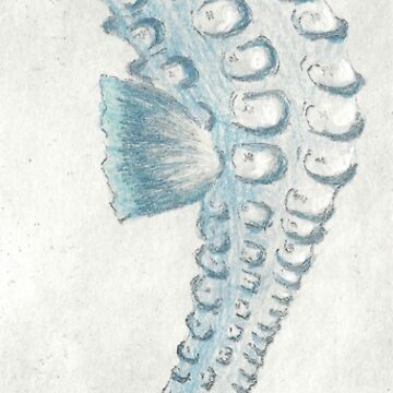 Artwork thumbnail, Seahorse etching and mixed media in blue by LisaLeQuelenec