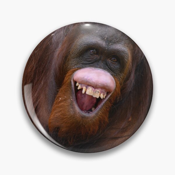Item preview, Laughing Orangutan designed and sold by David ST Loh Images.