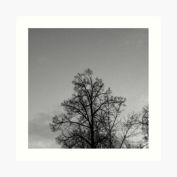 Tree in front of the sky Art Print