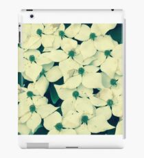 Spring Tree Blooms Ashburn, VA If you like, purchase, try a cell phone cover thanks! iPad Case/Skin