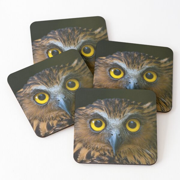 Item preview, Buffy Fish Owl @ Penang Hill Biosphere Reserve designed and sold by David ST Loh Images.