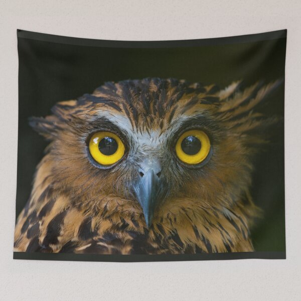 Item preview, Buffy Fish Owl @ Penang Hill Biosphere Reserve designed and sold by David ST Loh Images.