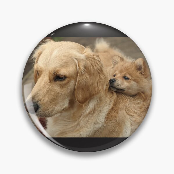 Item preview,  Bella & Kai (pom & golden pups) designed and sold by Fluffycat2020.