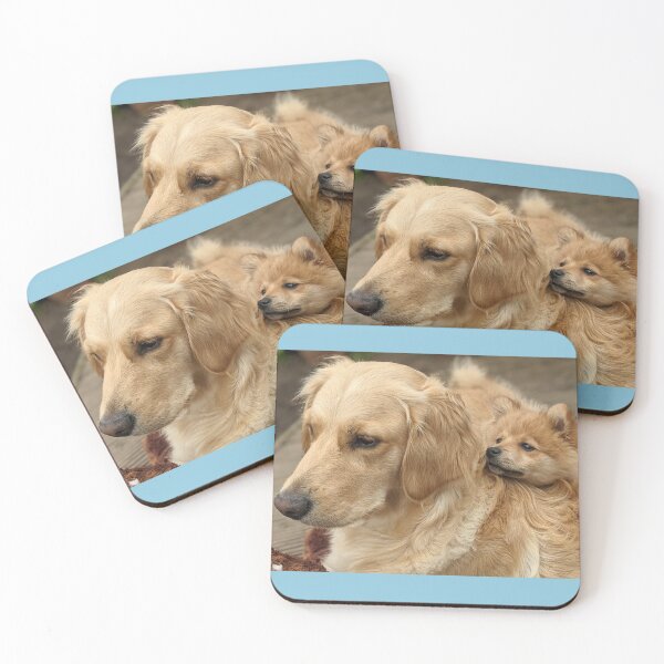 Item preview,  Bella & Kai (pom & golden pups) designed and sold by Fluffycat2020.