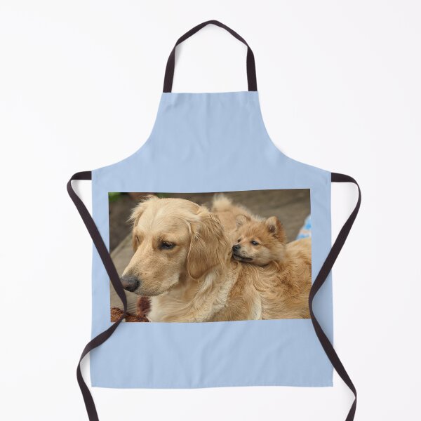 Item preview,  Bella & Kai (pom & golden pups) designed and sold by Fluffycat2020.