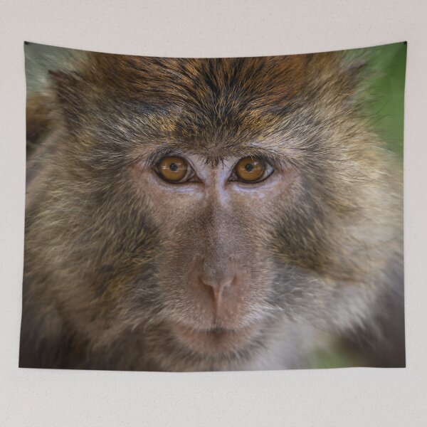 Item preview, Penetrating Eyes  designed and sold by David ST Loh Images.