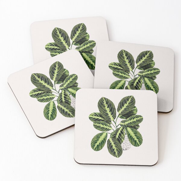 Item preview, Maranta interior Plant designed and sold by Elbuenlimon.