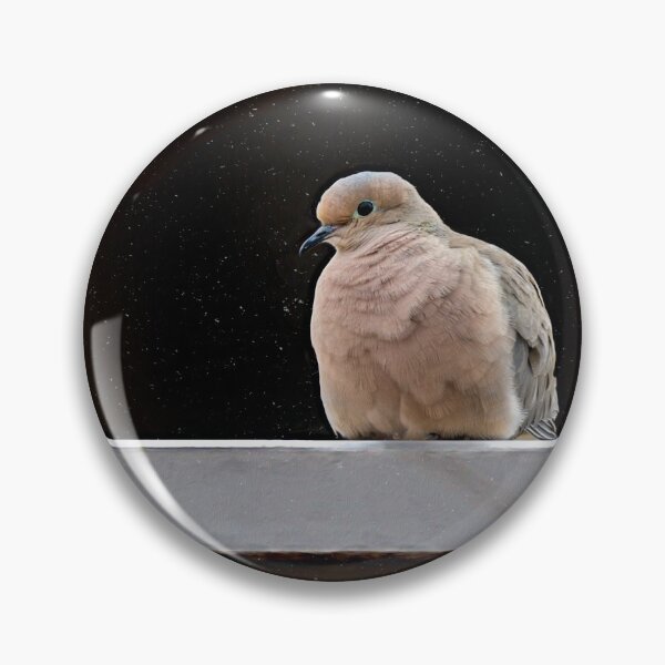 Item preview, Resting Mourning Dove by Debra Martz designed and sold by Debra Martz.