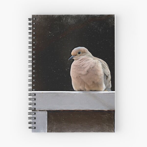 Item preview, Resting Mourning Dove by Debra Martz designed and sold by Debra Martz.