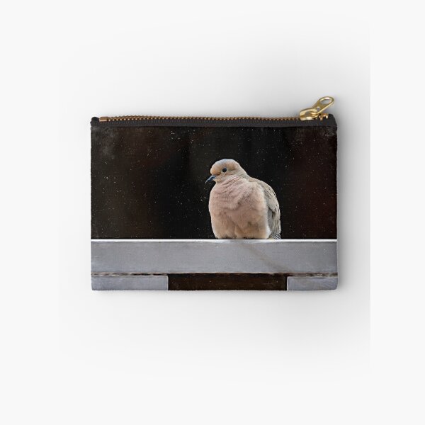 Item preview, Resting Mourning Dove by Debra Martz designed and sold by Debra Martz.
