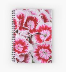 Pinks Spiral Notebook