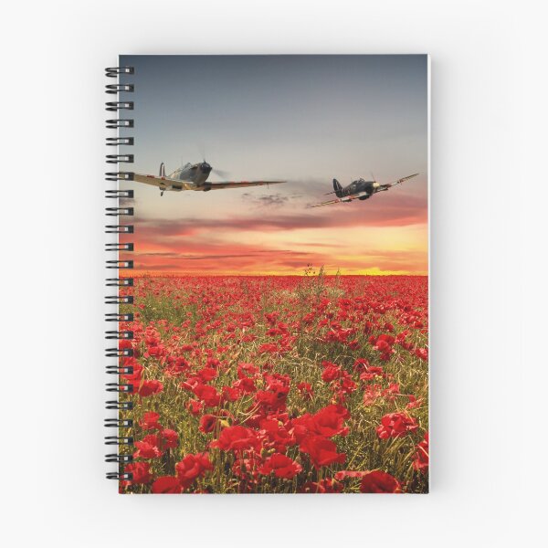 Item preview, Battle of Britain Warriors designed and sold by Airpower Art.