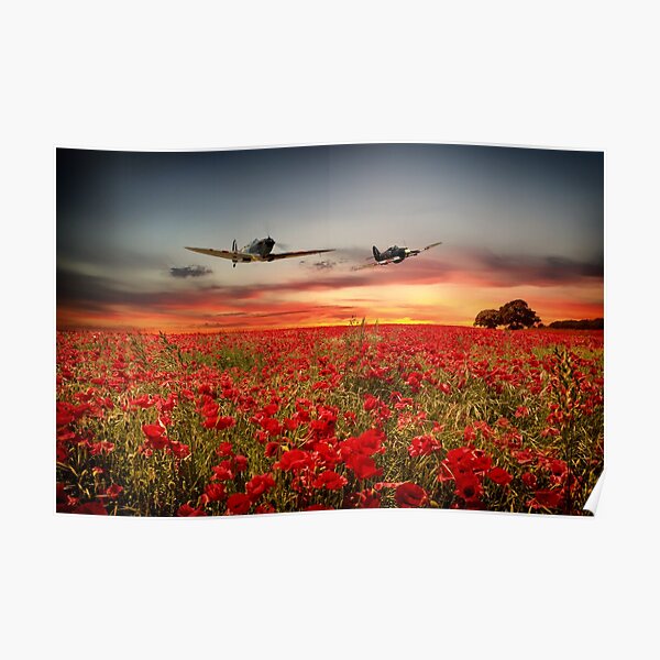 Spitfire /& Hurricane Flying Over Poppy Field Picture Framed Canvas Art Print