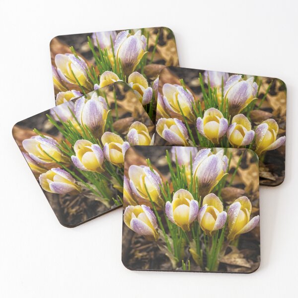 Item preview, Spring Crocus 6 designed and sold by Robert Alsop.