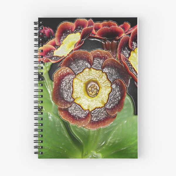 Item preview, Primula in plastic designed and sold by Robert Gipson.