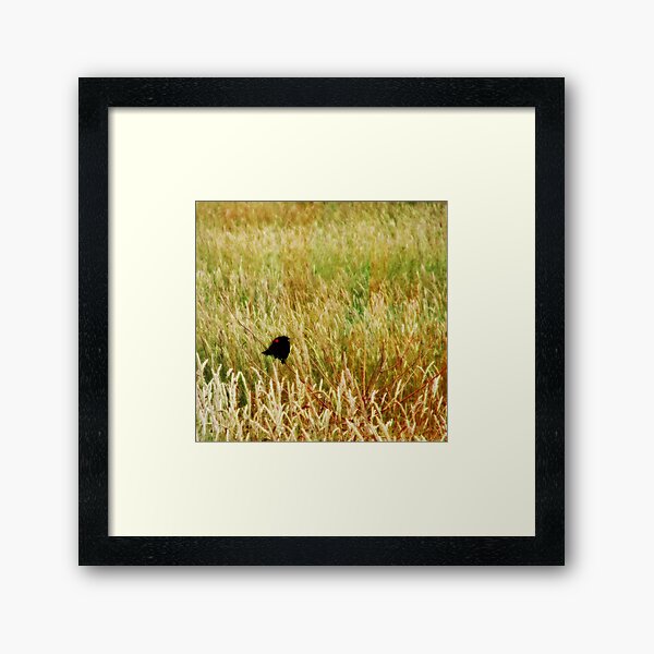 Item preview, Redwing Blackbird in Grasses designed and sold by Angelandspot.