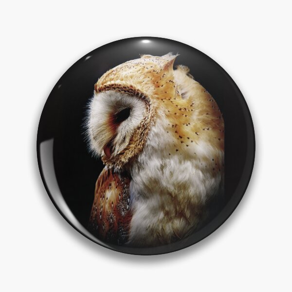 Item preview, Barn Owl Portrait designed and sold by ClaireChown.
