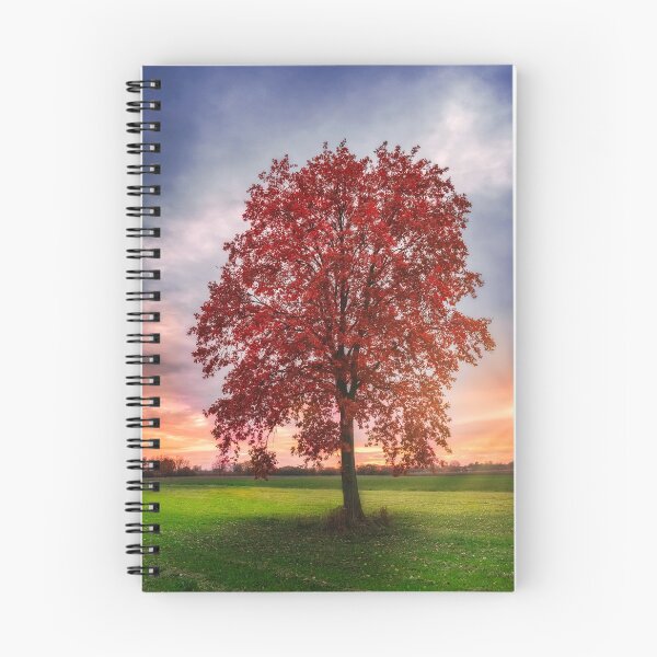 Item preview, Lonely red tree designed and sold by Dejan Travica.