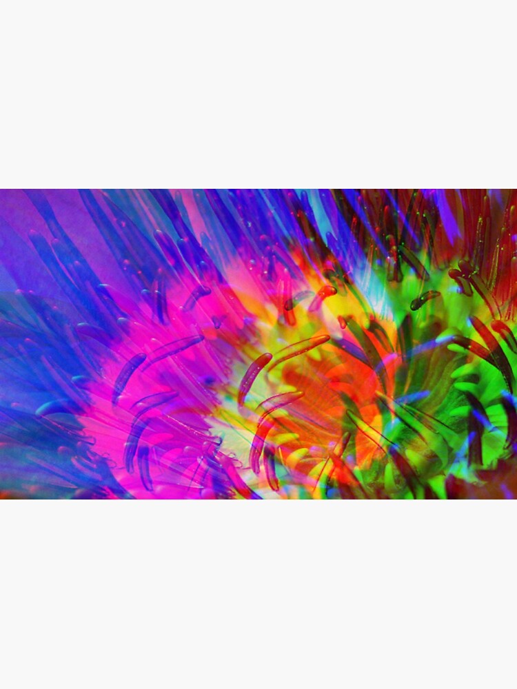 Abstract Water Lily by Risingphx