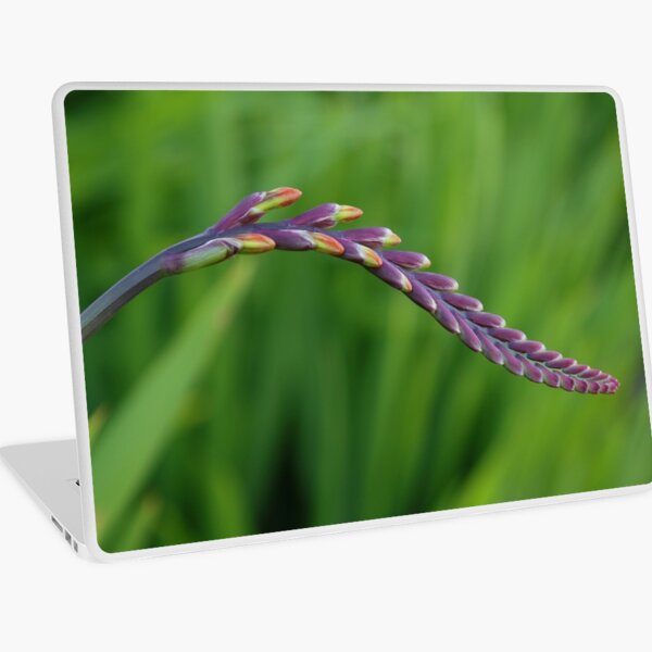 Long buds Laptop Skin
