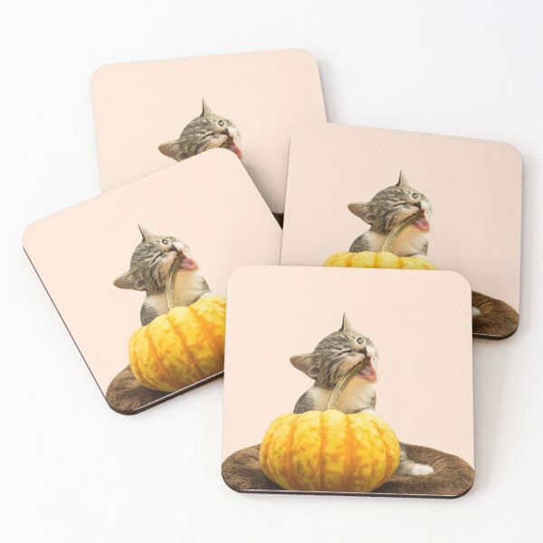 Item preview, Cat Stickers: Cat eating Pumpkin designed and sold by Memiefy.