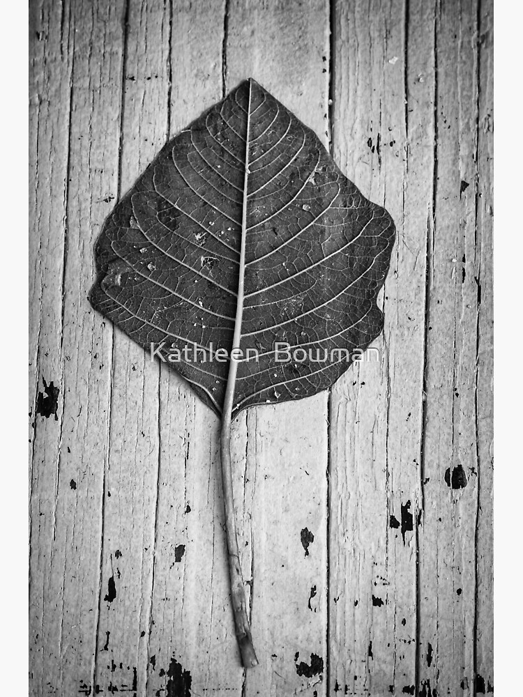 Black & White Leaf by KathleenBowman