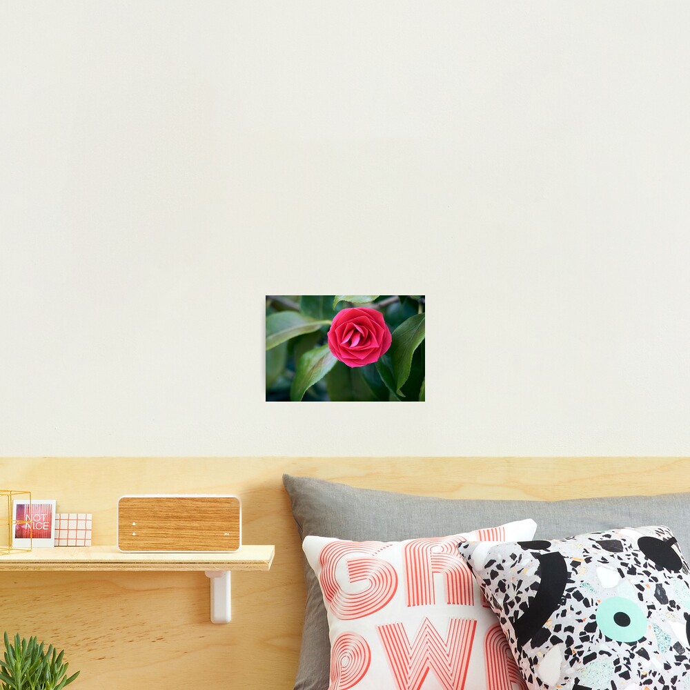 Item preview, Photographic Print designed and sold by RJDowns.