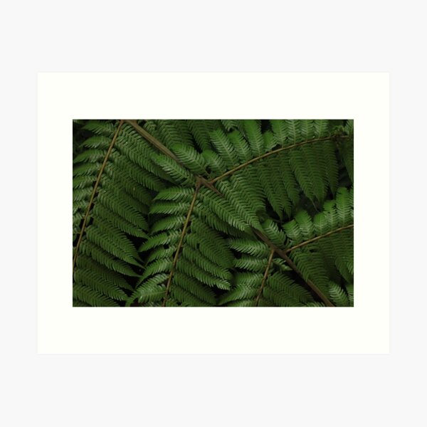 Abel Tasman 7 Art Print