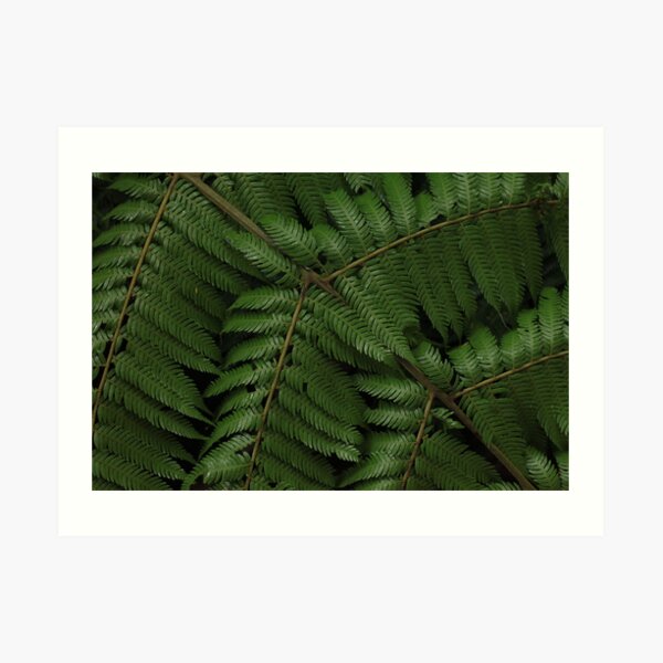 Abel Tasman 7 Art Print