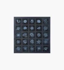 Snowflake collage - Season 2013 dark crystals Art Board
