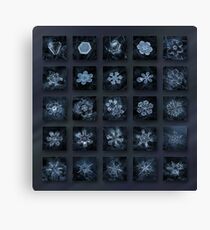 Snowflake collage - Season 2013 dark crystals Canvas Print