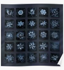 Snowflake collage - Season 2013 dark crystals Poster