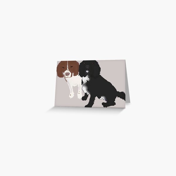 two dogs. springer and cocker spaniels Greeting Card