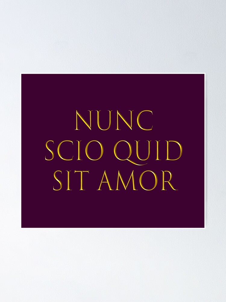 Poster Citation Latine Maintenant Je Sais Ce Qu Est L Amour Par Nabukodonosor Redbubble