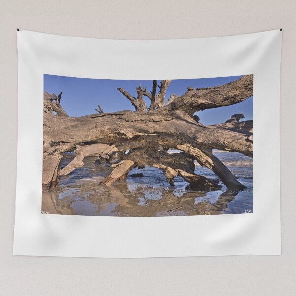 Item preview, Driftwood Cave Jekyll Island Georgia designed and sold by LisaWootenPhoto.