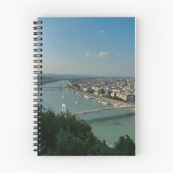 Aperçu de l'œuvre Le Danube créée et vendue par Kristin Osani.