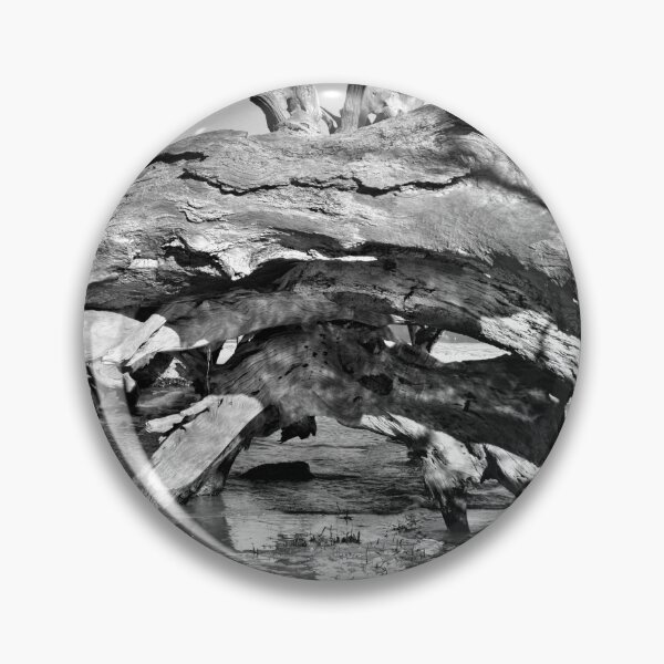 Item preview, Driftwood Cave Jekyll Island Georgia Blanco y negro designed and sold by LisaWootenPhoto.