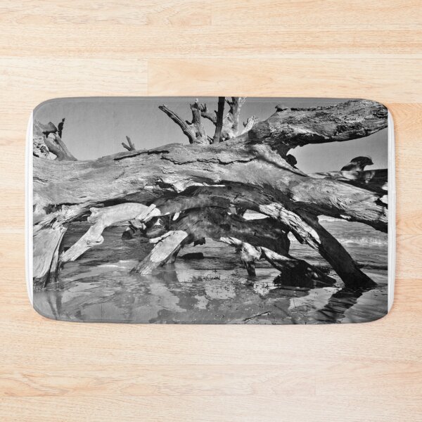 Artikelvorschau, Treibholzhöhle Jekyll Island Georgia Schwarzweiss entworfen und verkauft von LisaWootenPhoto.