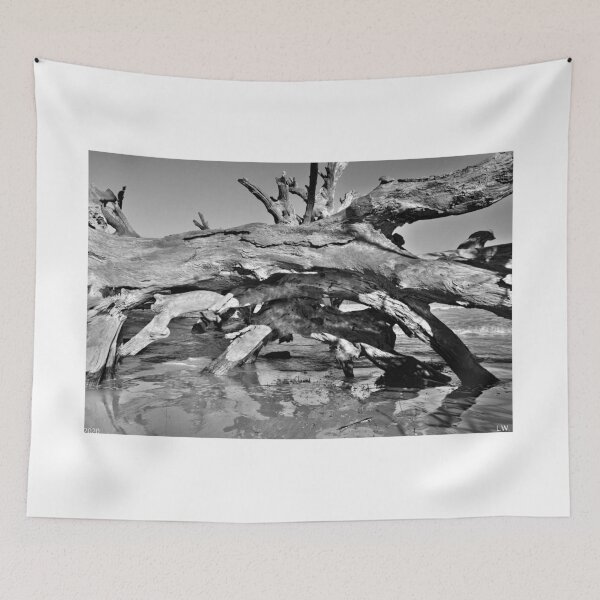 Item preview, Driftwood Cave Jekyll Island Georgia Blanco y negro designed and sold by LisaWootenPhoto.
