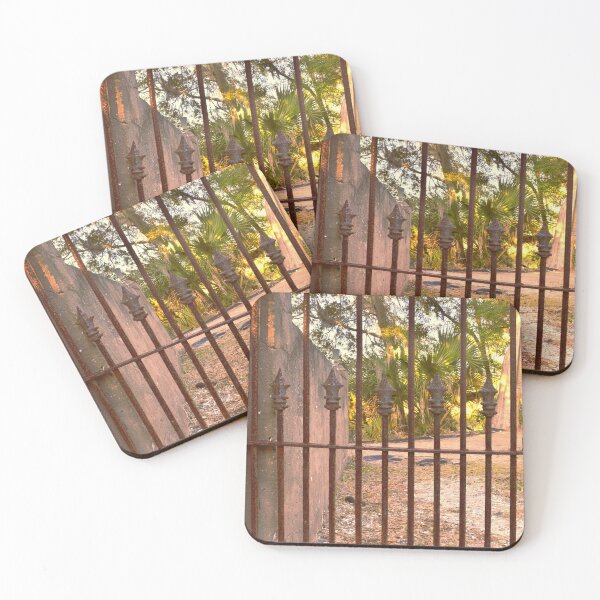 Item preview, Puerta del cementerio de DuBignon Jekyll Island Georgia 2 designed and sold by LisaWootenPhoto.