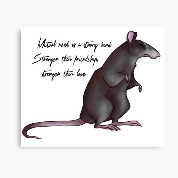 ripred Canvas Print