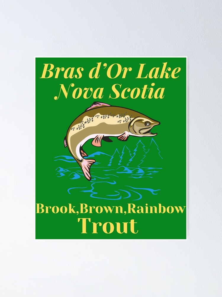 Bras d'Or Lake t shirt , Nova Scotia t shirt,lake fishing, fresh water  fishing t shirts,nova scotia t shirts, fish shirt, fish t shirt, fish,  Essential T-Shirt for Sale by eyesight4vision