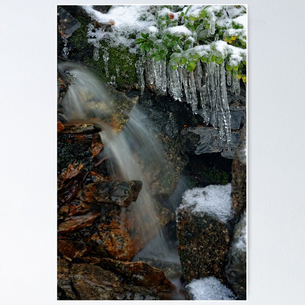 Item preview, Mini Frozen Fagus Falls designed and sold by Robert Mullner.