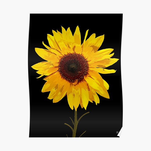 SUNFLOWER PRINT Poster