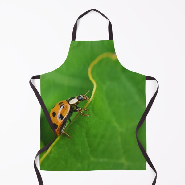 Item preview, Harlequin Ladybird Climbing  designed and sold by KirstyNadineArt.
