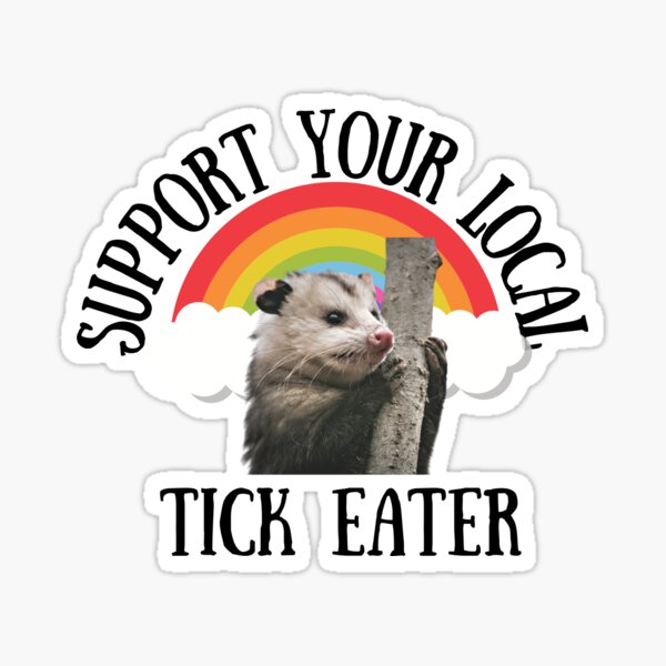 Aperçu de l'œuvre Opossum Rainbow Art, Soutenez les mangeurs de tiques! créée et vendue par DakodaDesigns.