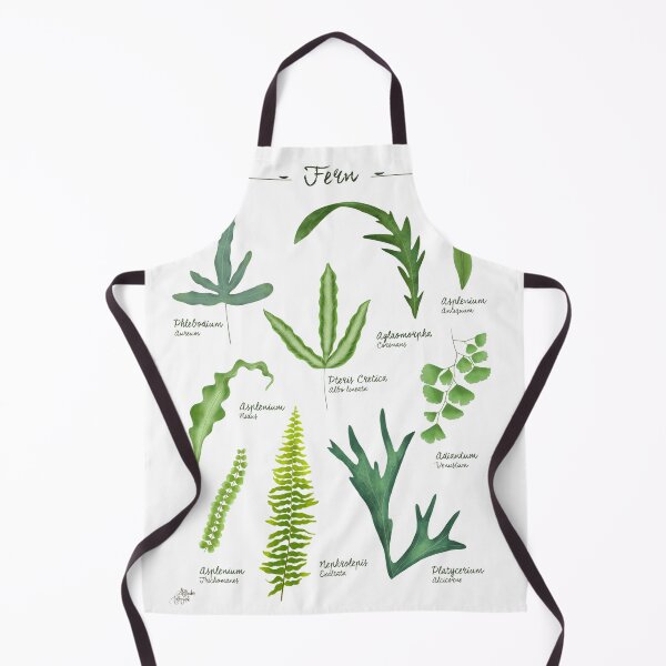 Artikelvorschau, Farne Arten Sammlung botanische Illustration entworfen und verkauft von Onyria Art.