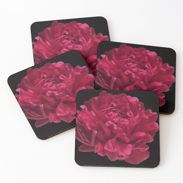 Item preview, Scarlet Red Peony Close-up on Black Background designed and sold by InalterataArt.