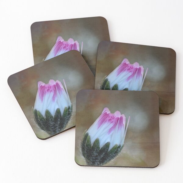 Item preview, Sleeping daisy designed and sold by gelibolu.