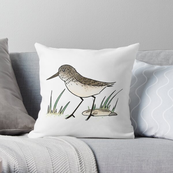 https://ih1.redbubble.net/image.2261806968.7816/throwpillow,small,600x-bg,f8f8f8-c,0,120,600,600.jpg